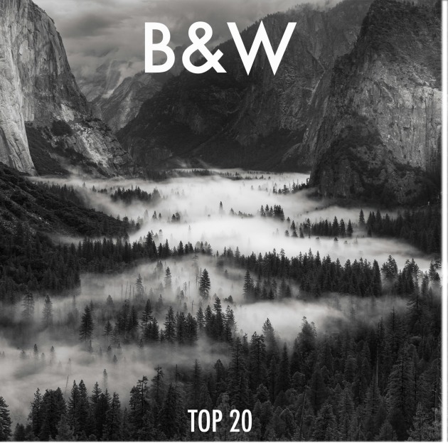 bw-button-2022.jpg
