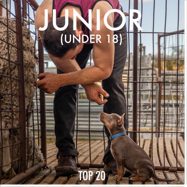 junior-button-2022.jpg