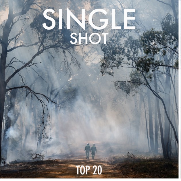 single-shot-button-2022.jpg