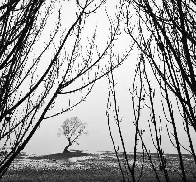 Being a good judge often involves understanding the various trends and fads within photography, and recognising when someone has created something different. Photographers frequently photograph the famous Wanaka tree, but rather than capture the obvious, Dean Cooper used the bare branches of winter and rather low lake levels to capture this more thoughtful image.