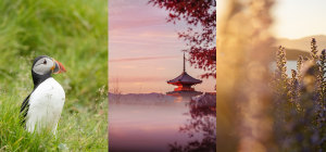 Join the club! Travel Photography Club opens for members