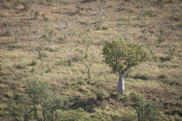 Image: Julieanne Kost/Supplied