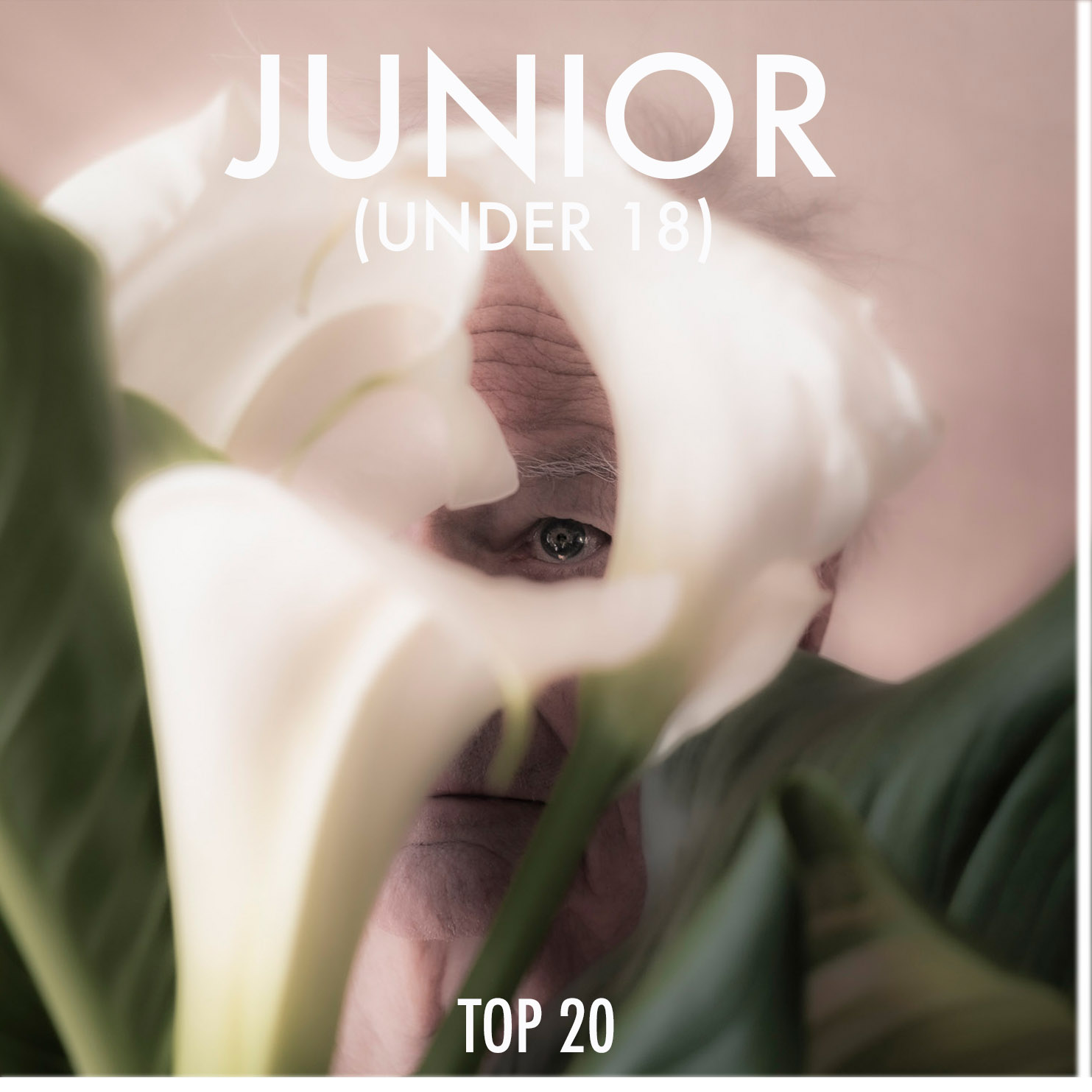 junior-button-2022.jpg