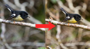 How to: Create your own Lightroom presets