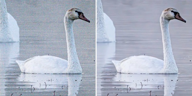 Denoise AI before and after. Photo by Katrin Eismann/Adobe