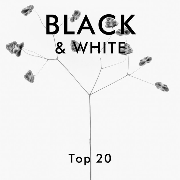 Black and White 2020 - Top 20