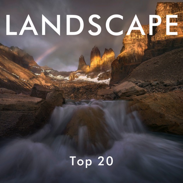 Landscape 2020 Top 20